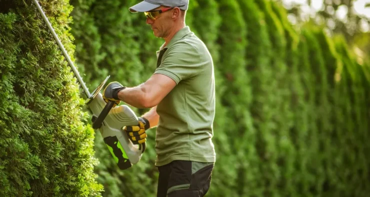 38e84b06278d7b59405e0d4c6a4de1820d66f593